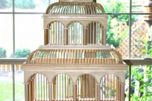 Build a Safe Bird Cage: Woodworking Plans & Tips Safem Fabrication - Precision Engineering & Custom Manufacturing Solutions Build a Safe Bird Cage: Woodworking Plans & Tips | Safem Fabrication - Precision Engineering & Custom Manufacturing Solutions