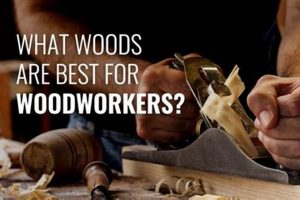 The Best Wood for Woodworkers: A Complete Guide! Safem Fabrication - Precision Engineering & Custom Manufacturing Solutions The Best Wood for Woodworkers: A Complete Guide! | Safem Fabrication - Precision Engineering & Custom Manufacturing Solutions