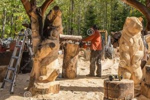 Top Woodworking Shop MN: Custom Crafts & More Safem Fabrication - Precision Engineering & Custom Manufacturing Solutions Top Woodworking Shop MN: Custom Crafts & More | Safem Fabrication - Precision Engineering & Custom Manufacturing Solutions
