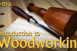 Easy Intro to Woodworking Projects: Beginner's Guide Safem Fabrication - Precision Engineering & Custom Manufacturing Solutions Easy Intro to Woodworking Projects: Beginner's Guide | Safem Fabrication - Precision Engineering & Custom Manufacturing Solutions