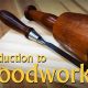 Easy Intro to Woodworking Projects: Beginner's Guide | Step-by-Step Guides, Tools & Inspiration to Build Beautiful Wooden Decor on a Budget