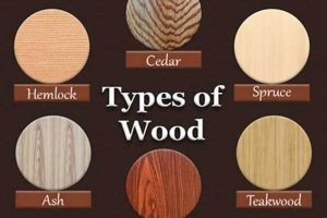 Wood Types: Different Woods for Woodworking Projects + Safem Fabrication - Precision Engineering & Custom Manufacturing Solutions Wood Types: Different Woods for Woodworking Projects + | Safem Fabrication - Precision Engineering & Custom Manufacturing Solutions