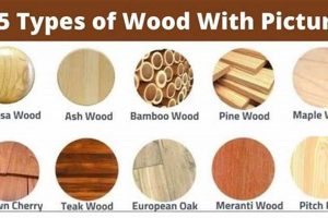 Woodworking Wonders: Best Wood Types for Your Project Safem Fabrication - Precision Engineering & Custom Manufacturing Solutions Woodworking Wonders: Best Wood Types for Your Project | Safem Fabrication - Precision Engineering & Custom Manufacturing Solutions