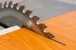 The Saw: Woodworking Circular Saw Blades Market Analysis 2024 Safem Fabrication - Precision Engineering & Custom Manufacturing Solutions The Saw: Woodworking Circular Saw Blades Market Analysis 2024 | Safem Fabrication - Precision Engineering & Custom Manufacturing Solutions