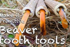 Beaver Woodworking Tools: Top Picks & Expert Tips Safem Fabrication - Precision Engineering & Custom Manufacturing Solutions Beaver Woodworking Tools: Top Picks & Expert Tips | Safem Fabrication - Precision Engineering & Custom Manufacturing Solutions