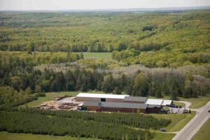 Find: Woodworkers Shop Cummins MI - Your Local Guide Safem Fabrication - Precision Engineering & Custom Manufacturing Solutions Find: Woodworkers Shop Cummins MI - Your Local Guide | Safem Fabrication - Precision Engineering & Custom Manufacturing Solutions