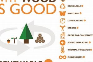Eco Wood: Most Sustainable Wood for Woodworking + Tips Safem Fabrication - Precision Engineering & Custom Manufacturing Solutions Eco Wood: Most Sustainable Wood for Woodworking + Tips | Safem Fabrication - Precision Engineering & Custom Manufacturing Solutions