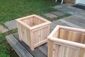 Unique Cedar Woodworking Ideas & Projects [Guide] | Step-by-Step Guides, Tools & Inspiration to Build Beautiful Wooden Decor on a Budget