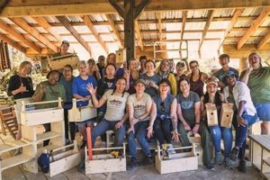 [Local] Beginner Woodworking Class Near Me For Starters! | Step-by-Step Guides, Tools & Inspiration to Build Beautiful Wooden Decor on a Budget