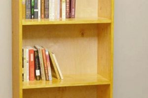 Easy Beginner Woodworking Bookshelf: A Simple Project Step-by-Step Guides, Tools & Inspiration to Build Beautiful Wooden Decor on a Budget Easy Beginner Woodworking Bookshelf: A Simple Project | Step-by-Step Guides, Tools & Inspiration to Build Beautiful Wooden Decor on a Budget