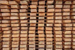 Woodworking Guide: How to Dry Out Wood for Projects Step-by-Step Guides, Tools & Inspiration to Build Beautiful Wooden Decor on a Budget Woodworking Guide: How to Dry Out Wood for Projects | Step-by-Step Guides, Tools & Inspiration to Build Beautiful Wooden Decor on a Budget