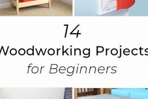 Easy Basic Woodworking Projects for Beginners: Start Now! Step-by-Step Guides, Tools & Inspiration to Build Beautiful Wooden Decor on a Budget Easy Basic Woodworking Projects for Beginners: Start Now! | Step-by-Step Guides, Tools & Inspiration to Build Beautiful Wooden Decor on a Budget
