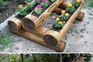 DIY Woodworking Projects for Garden: Plans & Ideas Step-by-Step Guides, Tools & Inspiration to Build Beautiful Wooden Decor on a Budget DIY Woodworking Projects for Garden: Plans & Ideas | Step-by-Step Guides, Tools & Inspiration to Build Beautiful Wooden Decor on a Budget