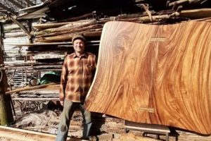 Bespoke Custom Woodworking Knoxville TN: Designs & More! Step-by-Step Guides, Tools & Inspiration to Build Beautiful Wooden Decor on a Budget Bespoke Custom Woodworking Knoxville TN: Designs & More! | Step-by-Step Guides, Tools & Inspiration to Build Beautiful Wooden Decor on a Budget