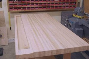 Build a Beast: Making a Woodworking Bench Top + Tips! Step-by-Step Guides, Tools & Inspiration to Build Beautiful Wooden Decor on a Budget Build a Beast: Making a Woodworking Bench Top + Tips! | Step-by-Step Guides, Tools & Inspiration to Build Beautiful Wooden Decor on a Budget