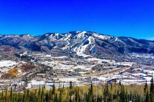 Find the Best Woodworking Store in Colorado Springs Step-by-Step Guides, Tools & Inspiration to Build Beautiful Wooden Decor on a Budget Find the Best Woodworking Store in Colorado Springs | Step-by-Step Guides, Tools & Inspiration to Build Beautiful Wooden Decor on a Budget