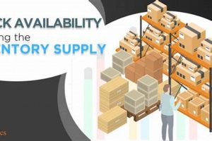 Cheap Woodworking Bench on Craigslist? [Deals!] | Step-by-Step Guides, Tools & Inspiration to Build Beautiful Wooden Decor on a Budget