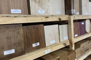 Savannah Case Woodworking Supply: [Your Shop] & More! | Step-by-Step Guides, Tools & Inspiration to Build Beautiful Wooden Decor on a Budget