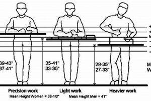 Find Your Ideal: Best Height for a Woodworking Bench Guide Step-by-Step Guides, Tools & Inspiration to Build Beautiful Wooden Decor on a Budget Find Your Ideal: Best Height for a Woodworking Bench Guide | Step-by-Step Guides, Tools & Inspiration to Build Beautiful Wooden Decor on a Budget