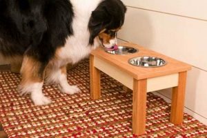DIY Woodworking Projects for Dogs: Build & Spoil! Step-by-Step Guides, Tools & Inspiration to Build Beautiful Wooden Decor on a Budget DIY Woodworking Projects for Dogs: Build & Spoil! | Step-by-Step Guides, Tools & Inspiration to Build Beautiful Wooden Decor on a Budget