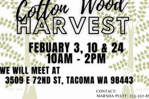 Your Guide to Woodworking Classes in Puyallup! Step-by-Step Guides, Tools & Inspiration to Build Beautiful Wooden Decor on a Budget Your Guide to Woodworking Classes in Puyallup! | Step-by-Step Guides, Tools & Inspiration to Build Beautiful Wooden Decor on a Budget
