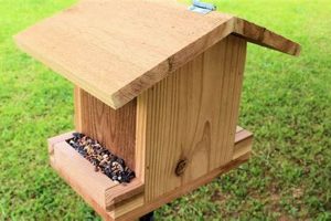 Easy Simple Bird Feeder Woodworking Plans DIY Guide Step-by-Step Guides, Tools & Inspiration to Build Beautiful Wooden Decor on a Budget Easy Simple Bird Feeder Woodworking Plans DIY Guide | Step-by-Step Guides, Tools & Inspiration to Build Beautiful Wooden Decor on a Budget