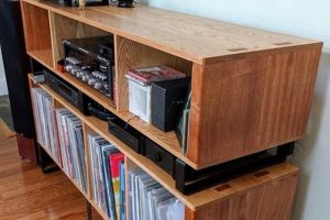 Build a Better Record Cabinet: Woodworking Plans You Need! Step-by-Step Guides, Tools & Inspiration to Build Beautiful Wooden Decor on a Budget Build a Better Record Cabinet: Woodworking Plans You Need! | Step-by-Step Guides, Tools & Inspiration to Build Beautiful Wooden Decor on a Budget