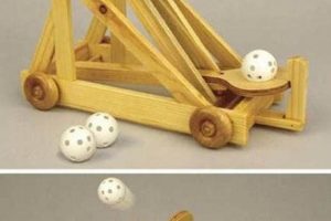 Build Your Own: Catapult Woodworking Plans Today! Step-by-Step Guides, Tools & Inspiration to Build Beautiful Wooden Decor on a Budget Build Your Own: Catapult Woodworking Plans Today! | Step-by-Step Guides, Tools & Inspiration to Build Beautiful Wooden Decor on a Budget