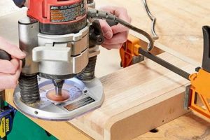 Best Woodworking Wood Guide: Types & Uses! Step-by-Step Guides, Tools & Inspiration to Build Beautiful Wooden Decor on a Budget Best Woodworking Wood Guide: Types & Uses! | Step-by-Step Guides, Tools & Inspiration to Build Beautiful Wooden Decor on a Budget