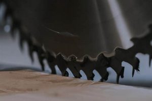 Best Table Saw Blades for Fine Woodworking: Pro's Choice Step-by-Step Guides, Tools & Inspiration to Build Beautiful Wooden Decor on a Budget Best Table Saw Blades for Fine Woodworking: Pro's Choice | Step-by-Step Guides, Tools & Inspiration to Build Beautiful Wooden Decor on a Budget