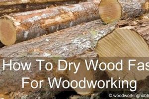 Tips: How to Dry Wood Fast for Woodworking Projects (+ Tricks) Step-by-Step Guides, Tools & Inspiration to Build Beautiful Wooden Decor on a Budget Tips: How to Dry Wood Fast for Woodworking Projects (+ Tricks) | Step-by-Step Guides, Tools & Inspiration to Build Beautiful Wooden Decor on a Budget