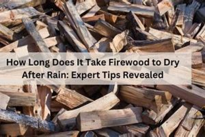 Wood Drying: How Long Does It Take for Woodworking? Tips & Tricks Step-by-Step Guides, Tools & Inspiration to Build Beautiful Wooden Decor on a Budget Wood Drying: How Long Does It Take for Woodworking? Tips & Tricks | Step-by-Step Guides, Tools & Inspiration to Build Beautiful Wooden Decor on a Budget