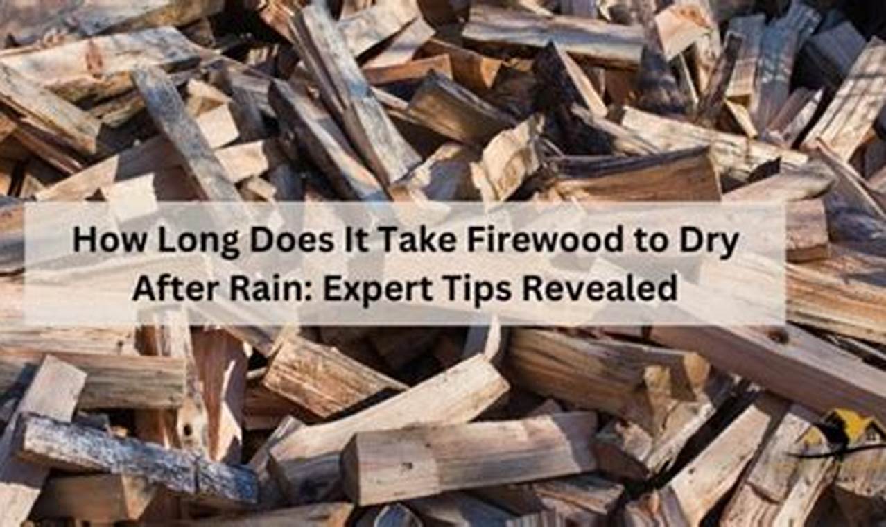 Wood Drying: How Long Does It Take for Woodworking? Tips & Tricks Step-by-Step Guides, Tools & Inspiration to Build Beautiful Wooden Decor on a Budget Wood Drying: How Long Does It Take for Woodworking? Tips & Tricks | Step-by-Step Guides, Tools & Inspiration to Build Beautiful Wooden Decor on a Budget