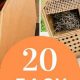Cool Teenage Woodworking Projects: Build &amp; Learn! | Step-by-Step Guides, Tools & Inspiration to Build Beautiful Wooden Decor on a Budget