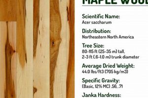 Wood Types: Maple Wood for Woodworking Projects Guide Step-by-Step Guides, Tools & Inspiration to Build Beautiful Wooden Decor on a Budget Wood Types: Maple Wood for Woodworking Projects Guide | Step-by-Step Guides, Tools & Inspiration to Build Beautiful Wooden Decor on a Budget