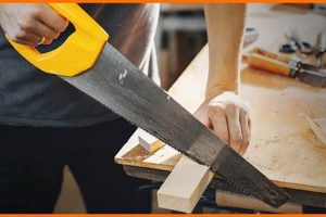 Top-Rated: Best Woodworking Tools on Amazon (Deals!) Step-by-Step Guides, Tools & Inspiration to Build Beautiful Wooden Decor on a Budget Top-Rated: Best Woodworking Tools on Amazon (Deals!) | Step-by-Step Guides, Tools & Inspiration to Build Beautiful Wooden Decor on a Budget