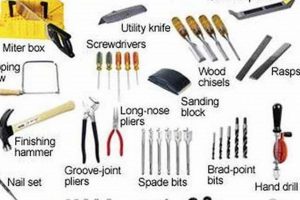 Woodworking Tools 101: What Basic Tools Do I Need? Guide Step-by-Step Guides, Tools & Inspiration to Build Beautiful Wooden Decor on a Budget Woodworking Tools 101: What Basic Tools Do I Need? Guide | Step-by-Step Guides, Tools & Inspiration to Build Beautiful Wooden Decor on a Budget