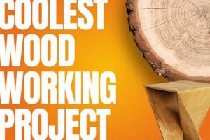 Easy Top 10 Woodworking Projects for Beginners DIY Step-by-Step Guides, Tools & Inspiration to Build Beautiful Wooden Decor on a Budget Easy Top 10 Woodworking Projects for Beginners DIY | Step-by-Step Guides, Tools & Inspiration to Build Beautiful Wooden Decor on a Budget