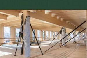 CLT Diaphragm Design: WoodWorks Guide & Best Practices Step-by-Step Guides, Tools & Inspiration to Build Beautiful Wooden Decor on a Budget CLT Diaphragm Design: WoodWorks Guide & Best Practices | Step-by-Step Guides, Tools & Inspiration to Build Beautiful Wooden Decor on a Budget