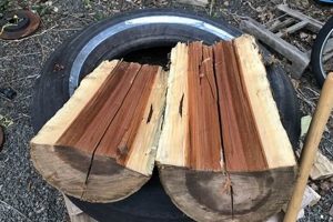 Apple Wood: Is It Good For Woodworking Projects? Tips! Step-by-Step Guides, Tools & Inspiration to Build Beautiful Wooden Decor on a Budget Apple Wood: Is It Good For Woodworking Projects? Tips! | Step-by-Step Guides, Tools & Inspiration to Build Beautiful Wooden Decor on a Budget