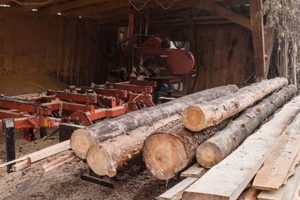 DIY: Harvesting Wood for Woodworking Projects +Tips Step-by-Step Guides, Tools & Inspiration to Build Beautiful Wooden Decor on a Budget DIY: Harvesting Wood for Woodworking Projects +Tips | Step-by-Step Guides, Tools & Inspiration to Build Beautiful Wooden Decor on a Budget