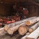 DIY: Harvesting Wood for Woodworking Projects +Tips | Step-by-Step Guides, Tools & Inspiration to Build Beautiful Wooden Decor on a Budget