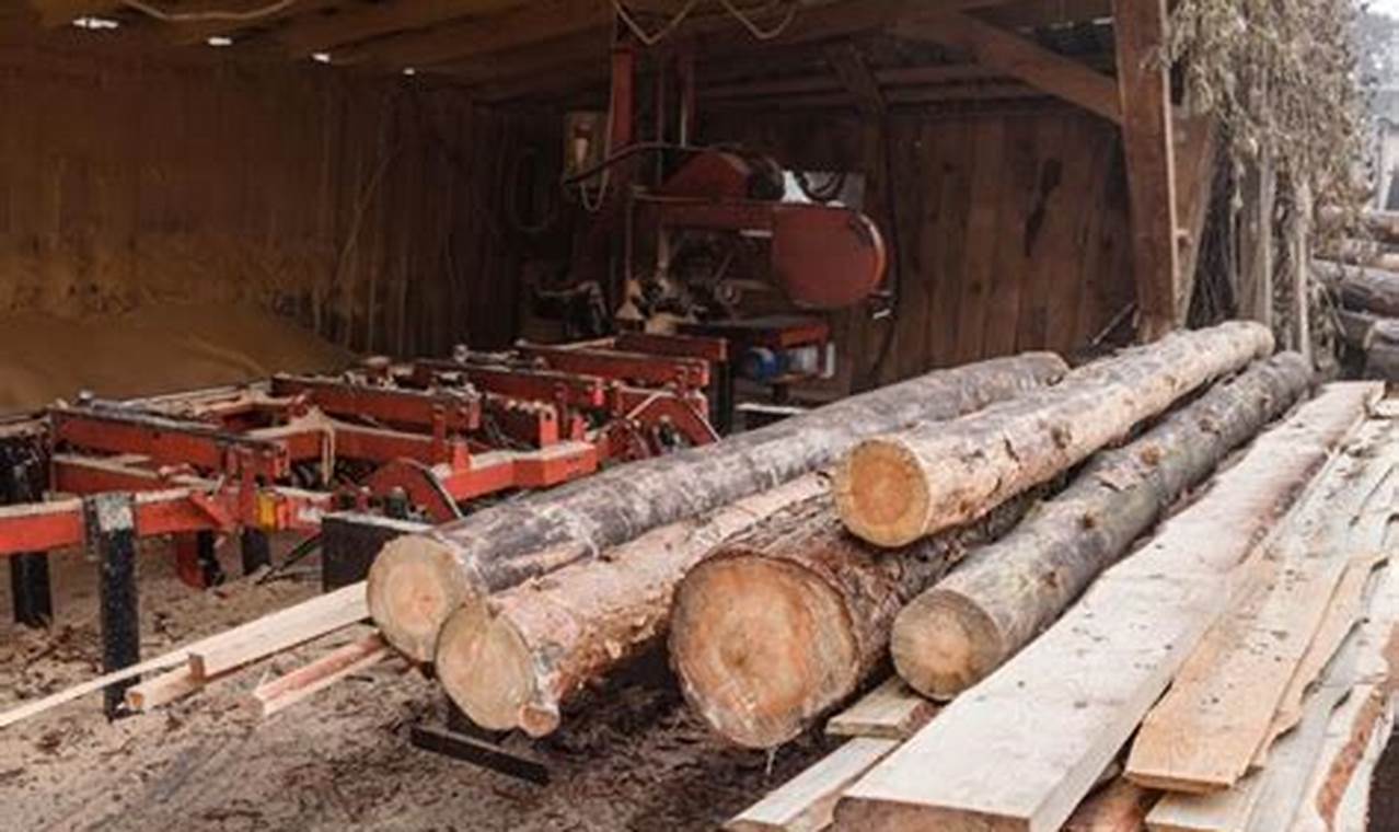 DIY: Harvesting Wood for Woodworking Projects +Tips Step-by-Step Guides, Tools & Inspiration to Build Beautiful Wooden Decor on a Budget DIY: Harvesting Wood for Woodworking Projects +Tips | Step-by-Step Guides, Tools & Inspiration to Build Beautiful Wooden Decor on a Budget