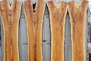 Locust Wood: Is This Wood Good for Woodworking? Step-by-Step Guides, Tools & Inspiration to Build Beautiful Wooden Decor on a Budget Locust Wood: Is This Wood Good for Woodworking? | Step-by-Step Guides, Tools & Inspiration to Build Beautiful Wooden Decor on a Budget