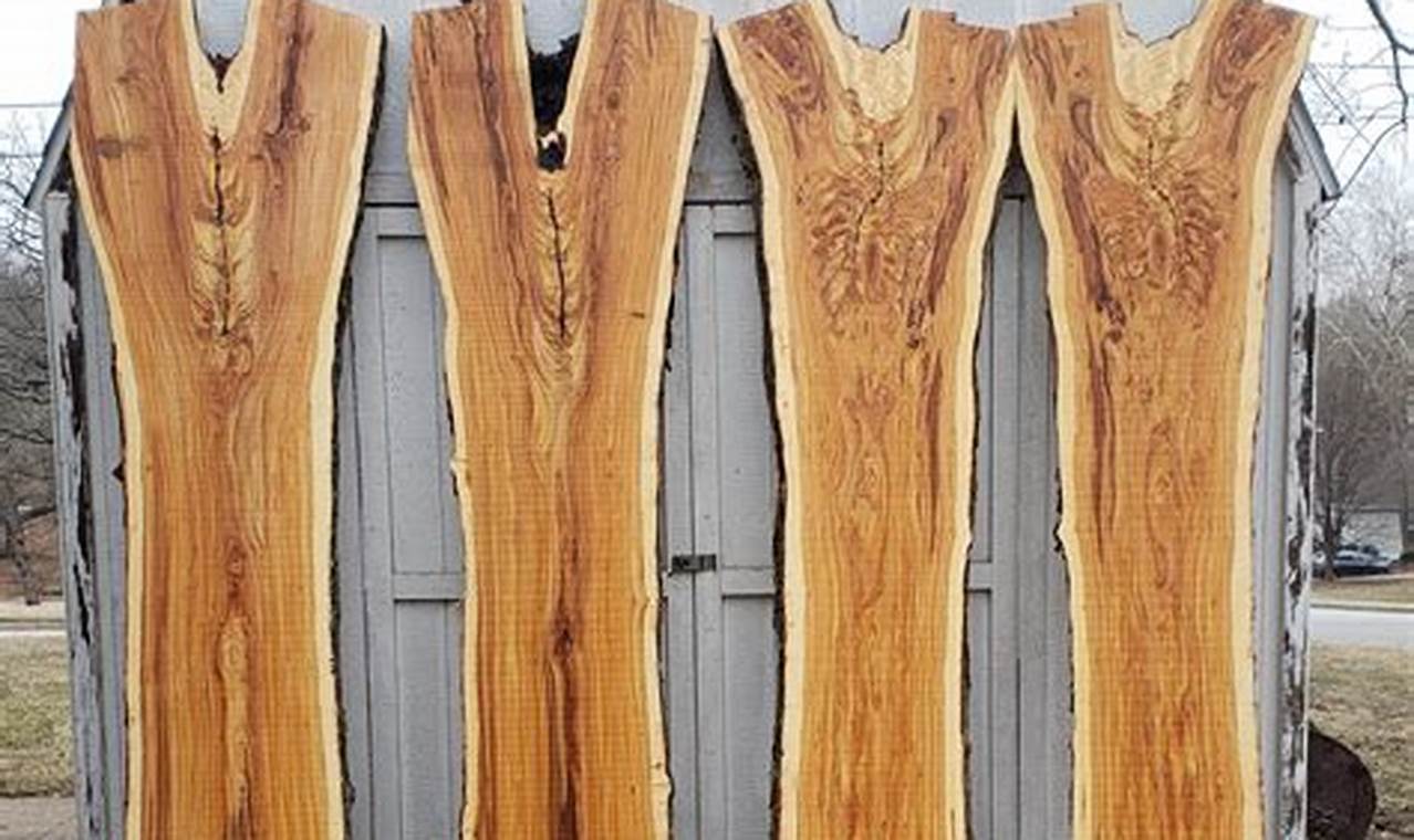 Locust Wood: Is This Wood Good for Woodworking? Step-by-Step Guides, Tools & Inspiration to Build Beautiful Wooden Decor on a Budget Locust Wood: Is This Wood Good for Woodworking? | Step-by-Step Guides, Tools & Inspiration to Build Beautiful Wooden Decor on a Budget