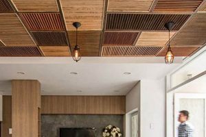 Elevate Your Space: Woodwork Ceiling Design Ideas Step-by-Step Guides, Tools & Inspiration to Build Beautiful Wooden Decor on a Budget Elevate Your Space: Woodwork Ceiling Design Ideas | Step-by-Step Guides, Tools & Inspiration to Build Beautiful Wooden Decor on a Budget