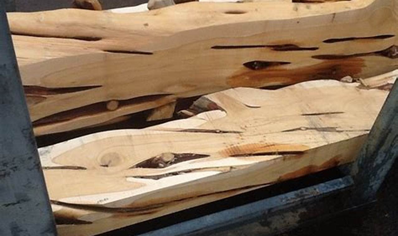 Using Juniper Wood for Woodworking: Projects & Tips Step-by-Step Guides, Tools & Inspiration to Build Beautiful Wooden Decor on a Budget Using Juniper Wood for Woodworking: Projects & Tips | Step-by-Step Guides, Tools & Inspiration to Build Beautiful Wooden Decor on a Budget