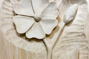 Your Guide: Woodworking Supplies Seattle & Beyond! Step-by-Step Guides, Tools & Inspiration to Build Beautiful Wooden Decor on a Budget Your Guide: Woodworking Supplies Seattle & Beyond! | Step-by-Step Guides, Tools & Inspiration to Build Beautiful Wooden Decor on a Budget