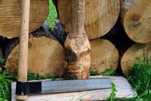 Beyond Basic: Unusual Woodworking Tools & Techniques Step-by-Step Guides, Tools & Inspiration to Build Beautiful Wooden Decor on a Budget Beyond Basic: Unusual Woodworking Tools & Techniques | Step-by-Step Guides, Tools & Inspiration to Build Beautiful Wooden Decor on a Budget