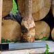 Beyond Basic: Unusual Woodworking Tools & Techniques | Step-by-Step Guides, Tools & Inspiration to Build Beautiful Wooden Decor on a Budget